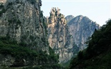 Мы Taihang горы (Minghu Метасеквойя работ) #6