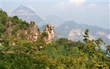 Wir haben die Taihang Mountains (Minghu Metasequoia Werke) #8