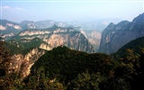 We have the Taihang Mountains (Minghu Metasequoia works) #9
