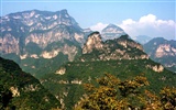 Мы Taihang горы (Minghu Метасеквойя работ) #10