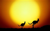 Особенности красивые пейзажи Австралии #18