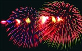 Festival fireworks display wallpaper #10