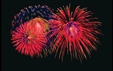 Festival fireworks display wallpaper #14169