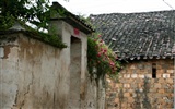 Wuyuan в дождь линии (Minghu Метасеквойя работ) #16