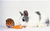 Cute little bunny Tapete #10