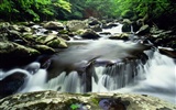 Water streams HD Wallpapers #30