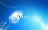 Windows7 Thema wallpaper (2) #11
