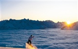 Suiza Turismo de Invierno fondo de pantalla #11