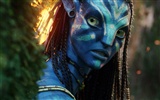 Avatar HD fond d'écran (1) #1
