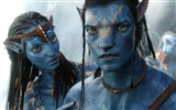 Avatar HD wallpaper (2) #1