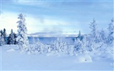 Fond d'écran HD scène cool hiver neige #33