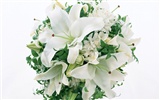 Blancanieves flores papel tapiz #5