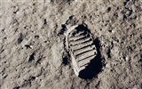 아폴로 11 호 드문 사진 월페이퍼 #14