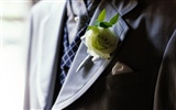 Свадебный цветок обручальное кольцо, обои (1) #7