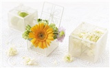 Flowers Gifts HD Wallpapers (1) #3