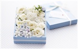 Flowers Gifts HD Wallpapers (1) #8