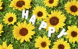 Flowers Gifts HD Wallpapers (1) #11