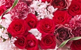 Flowers Gifts HD Wallpapers (1) #13
