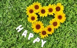 Flowers Gifts HD Wallpapers (2) #16