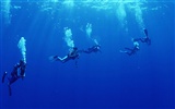 Deep Blue Underwater World Wallpaper #2