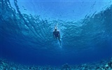 Deep Blue Подводные обои Всемирной #27