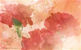 Mother's Day of the carnation wallpaper albums #40
