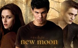 Saga Twilight: New Moon wallpaper album (1) #3