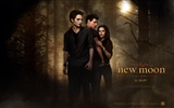 Saga Twilight: New Moon wallpaper album (1) #4