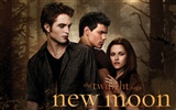 Saga Twilight: New Moon wallpaper album (4)