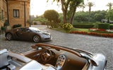 Bugatti Veyron Tapeta Album (1) #7