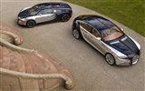 Bugatti Veyron Wallpaper Album (2) #2