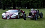 Bugatti Veyron Wallpaper Album (2) #10