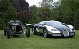 Bugatti Veyron Wallpaper Album (2) #12