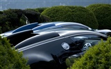 Bugatti Veyron Wallpaper Album (2) #16