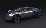Bugatti Veyron Wallpaper Album (2) #17