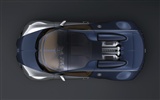 Bugatti Veyron Wallpaper Album (2) #19