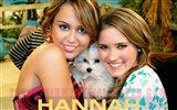 Hannah Montana fondo de pantalla