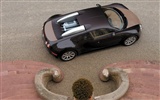 Bugatti Veyron обои Альбом (3) #11