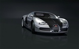 Bugatti Veyron обои Альбом (3) #18