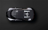 Bugatti Veyron обои Альбом (3) #20