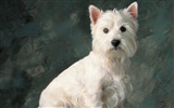 1600 dog photo wallpaper (5) #19