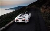 Bugatti Veyron Wallpaper Album (4) #2