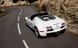Bugatti Veyron Wallpaper Album (4) #5