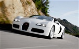 Bugatti Veyron Fondos de disco (4) #6