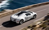 Bugatti Veyron Wallpaper Album (4) #7