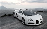 Bugatti Veyron Fondos de disco (4) #10