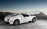 Bugatti Veyron обои Альбом (4) #11