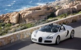 Bugatti Veyron обои Альбом (4) #14