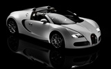 Bugatti Veyron 布加迪威龍壁紙專輯(四) #19