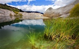 Живописный ландшафт Новой Зеландии обои #16